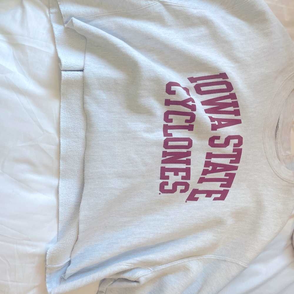 Cropped isu champion sweatshirt